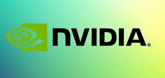 NVIDIA logo feb 2021 19-02